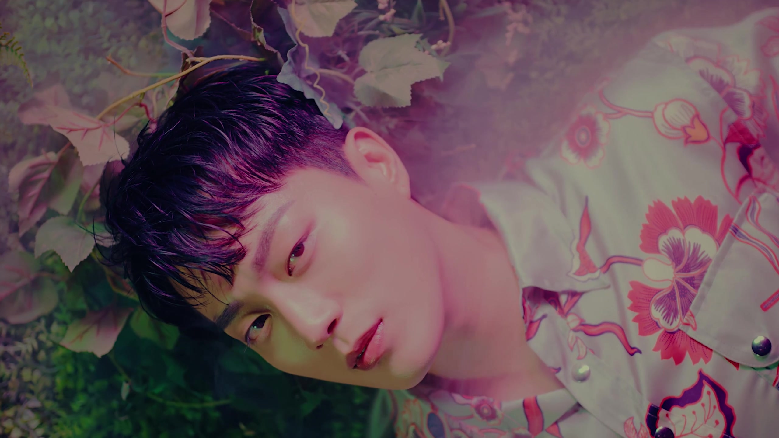 highlight尹斗俊(yoon du jun) - lonely night预告