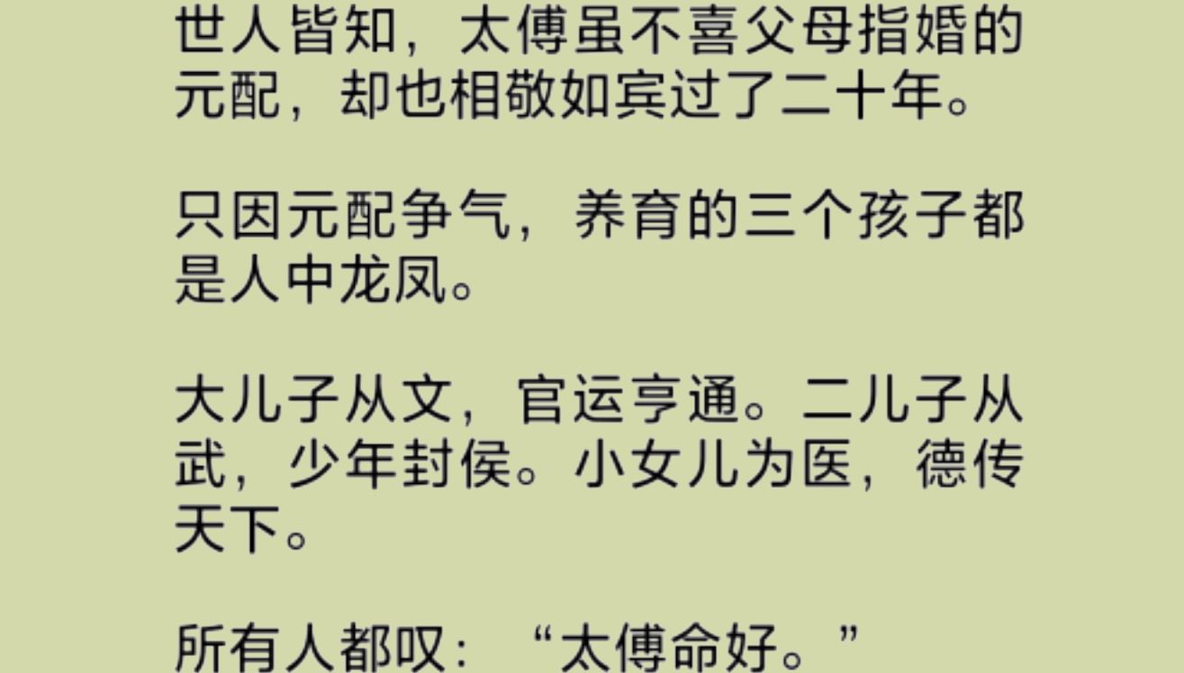 我是被父母指婚给夫君的元配,虽不得他喜爱,却也相敬如宾过了二十年.只因我养育出三个人中龙凤的孩子.在得知夫君为了别人,把我丢在雨中后,他们...