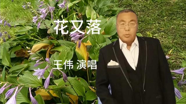 歌曲《花又落》男中音王伟演唱.