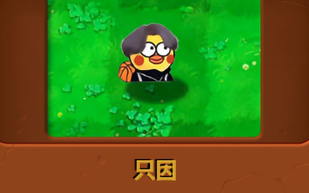 新植物——只因