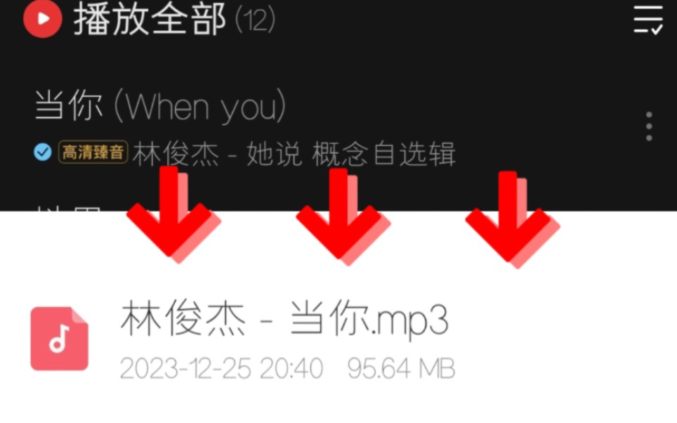 网易云下载的音乐怎么转成mp3格式?哔哩哔哩bilibili