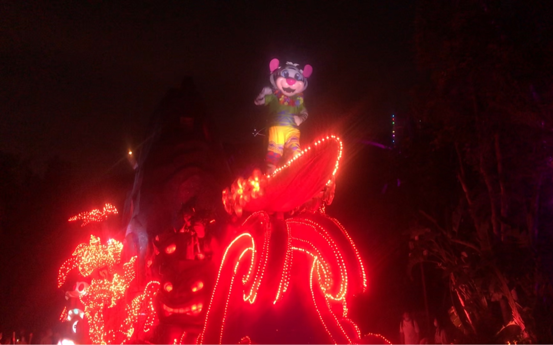 海洋夜光大巡游