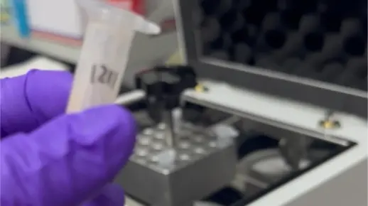 30s匀浆脑组织 研磨仪使用教程