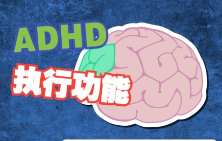 【How to ADHD】什么是执行功能,为什么我们需要它?哔哩哔哩bilibili