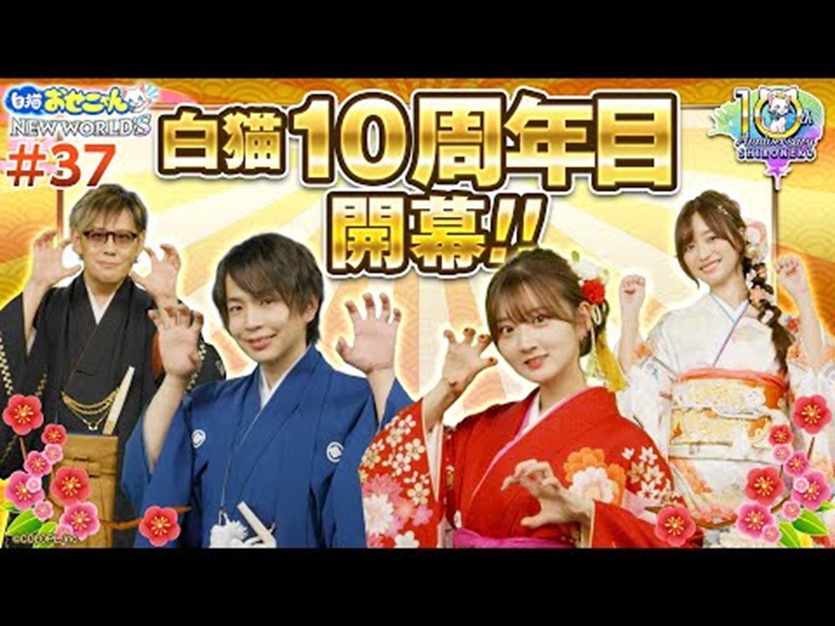 白猫10周年目突入! 特别おせニャん【白猫プロジェクト NEW WORLD'S】哔哩哔哩bilibili