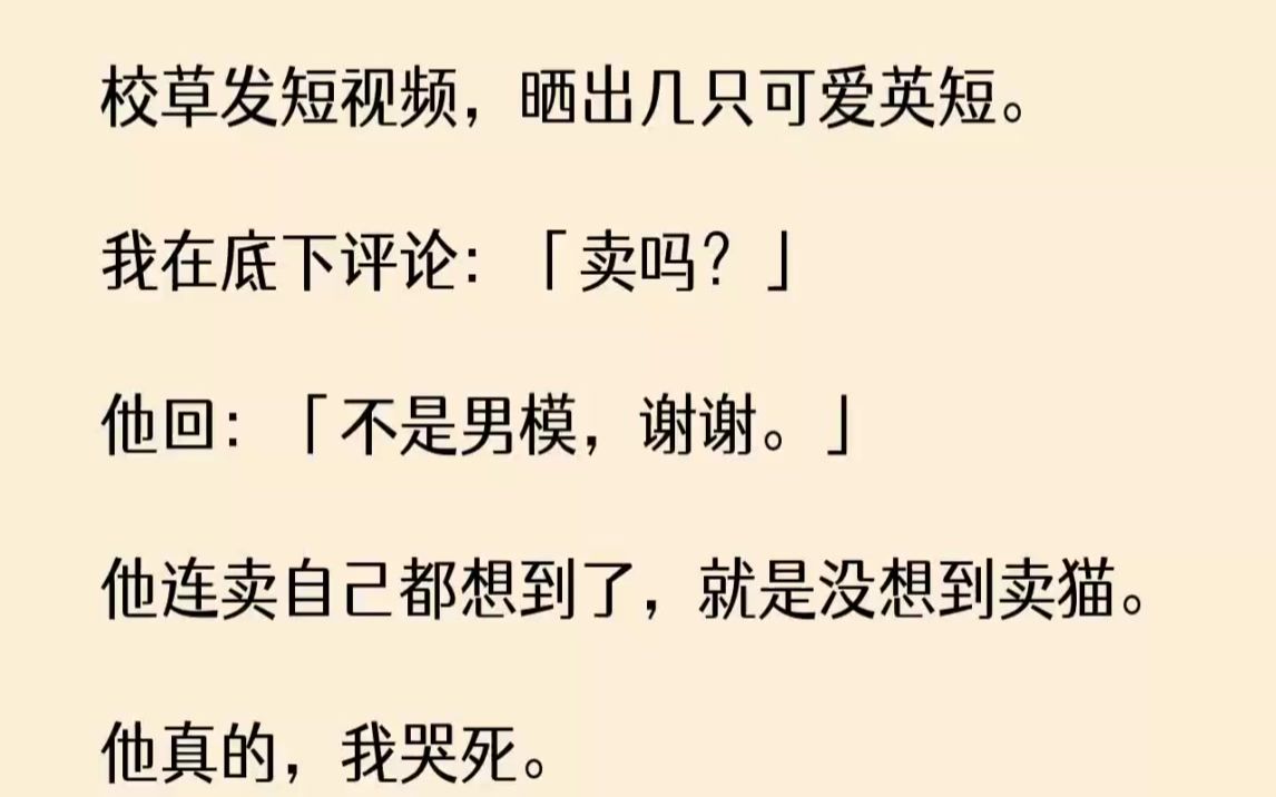 [图]【完结文】校草发短视频，晒出几只可爱英短。我在底下评论卖吗他回不是男模，谢谢。...