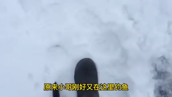 一只可爱的小雪貂!!哔哩哔哩bilibili