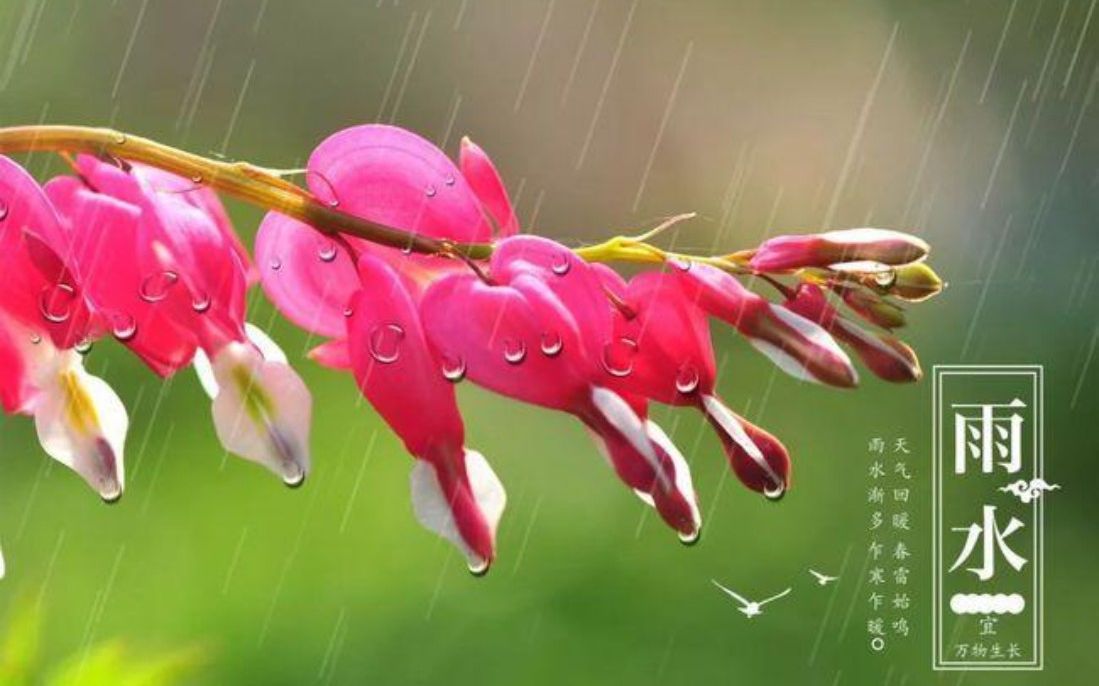 [图]【科普】 二十四节气2·雨水~