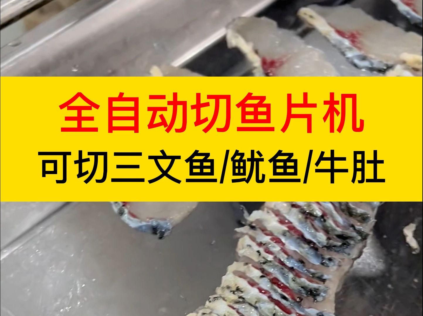全自动切鱼片机,可切三文鱼,鱿鱼,牛肚等