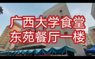 Download Video: 广西大学食堂vlog/东苑餐厅一楼02