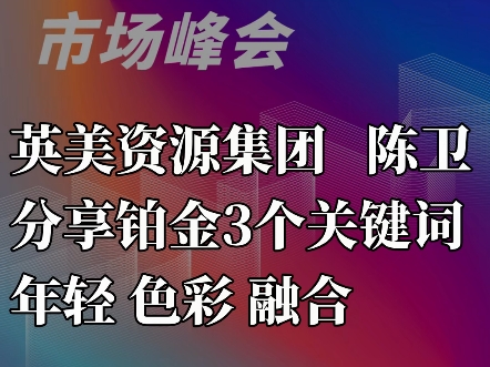 英美资源集团陈卫—分享铂金3个关键词:年轻、色彩、融合哔哩哔哩bilibili