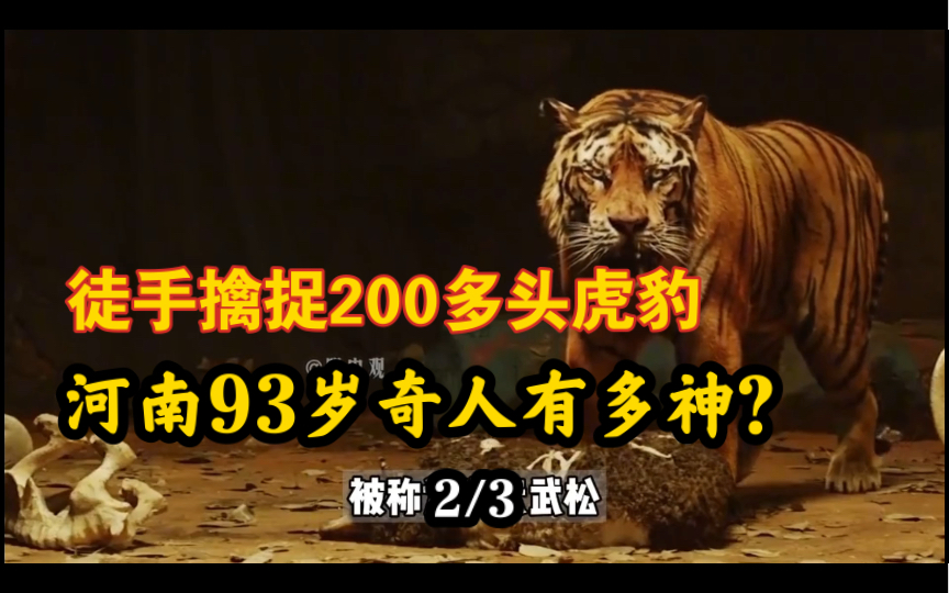 河南93岁奇人何广位:一顿能吃上百个馒头,赤手生擒猛虎,被称为当代“武松”他的一生有多传奇呢?哔哩哔哩bilibili