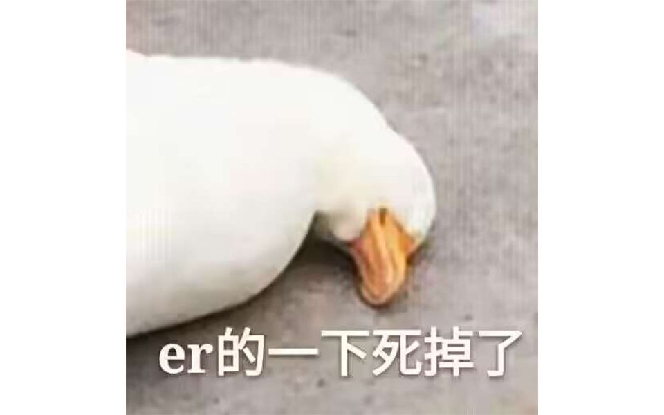 蛾子表情包图片