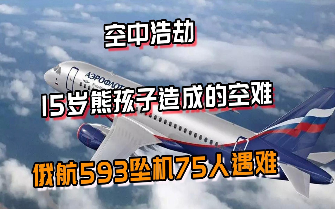 空中浩劫:15岁熊孩子造成的空难,俄航593坠机75人死亡