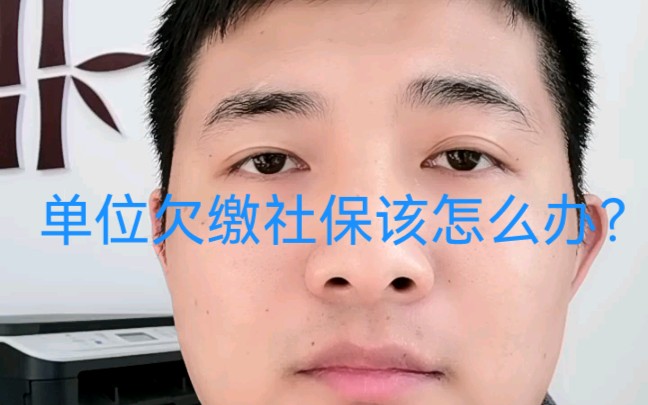 单位欠缴社保该怎么办?哔哩哔哩bilibili