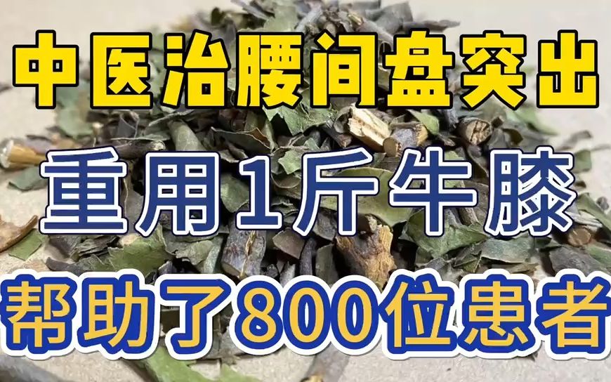 中医治腰间盘突出,重用1斤牛膝,帮助了800位患者哔哩哔哩bilibili