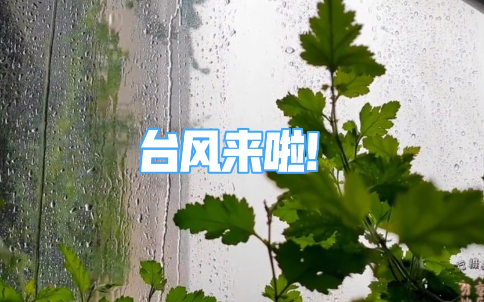 [图]台风暹芭来袭，狼哭鬼嚎，暴雨已下两天一夜#听雨 #阳台上的风景 #随手拍 #台风暹芭 #极端天气 #暴雨