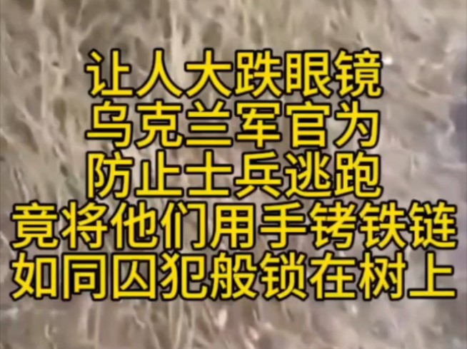 活久见!乌克兰军官为了防止士兵逃跑!竟用铁链和手铐把他们锁在树上!哔哩哔哩bilibili