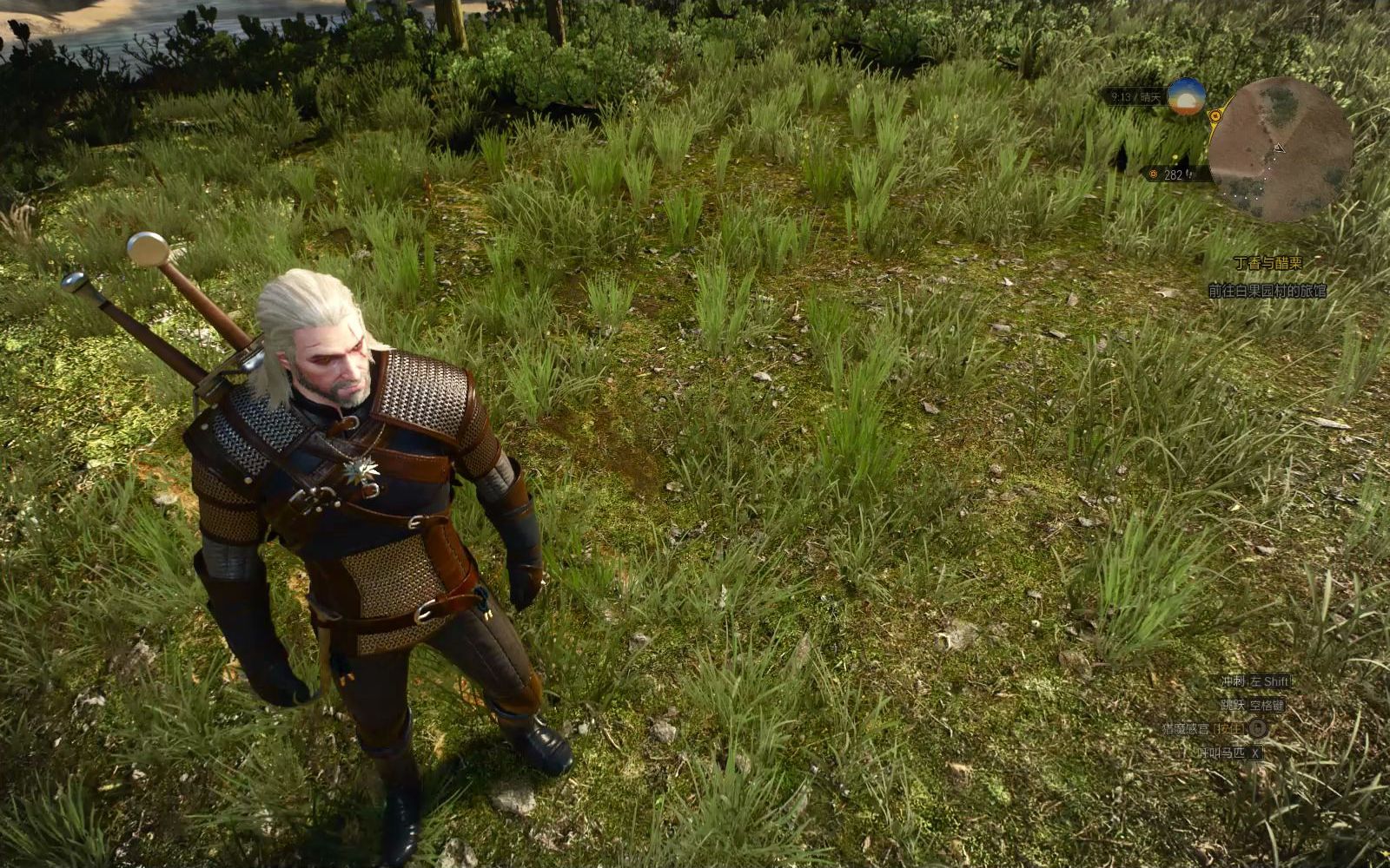 The Witcher 3 Teleport to Waypoint 瞬移标志位置单机游戏热门视频