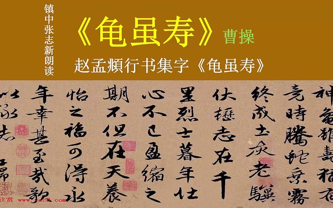 [图]《龟虽寿》曹操 赵孟頫行书集字《龟虽寿》七年级语文必修 镇中张志新朗读