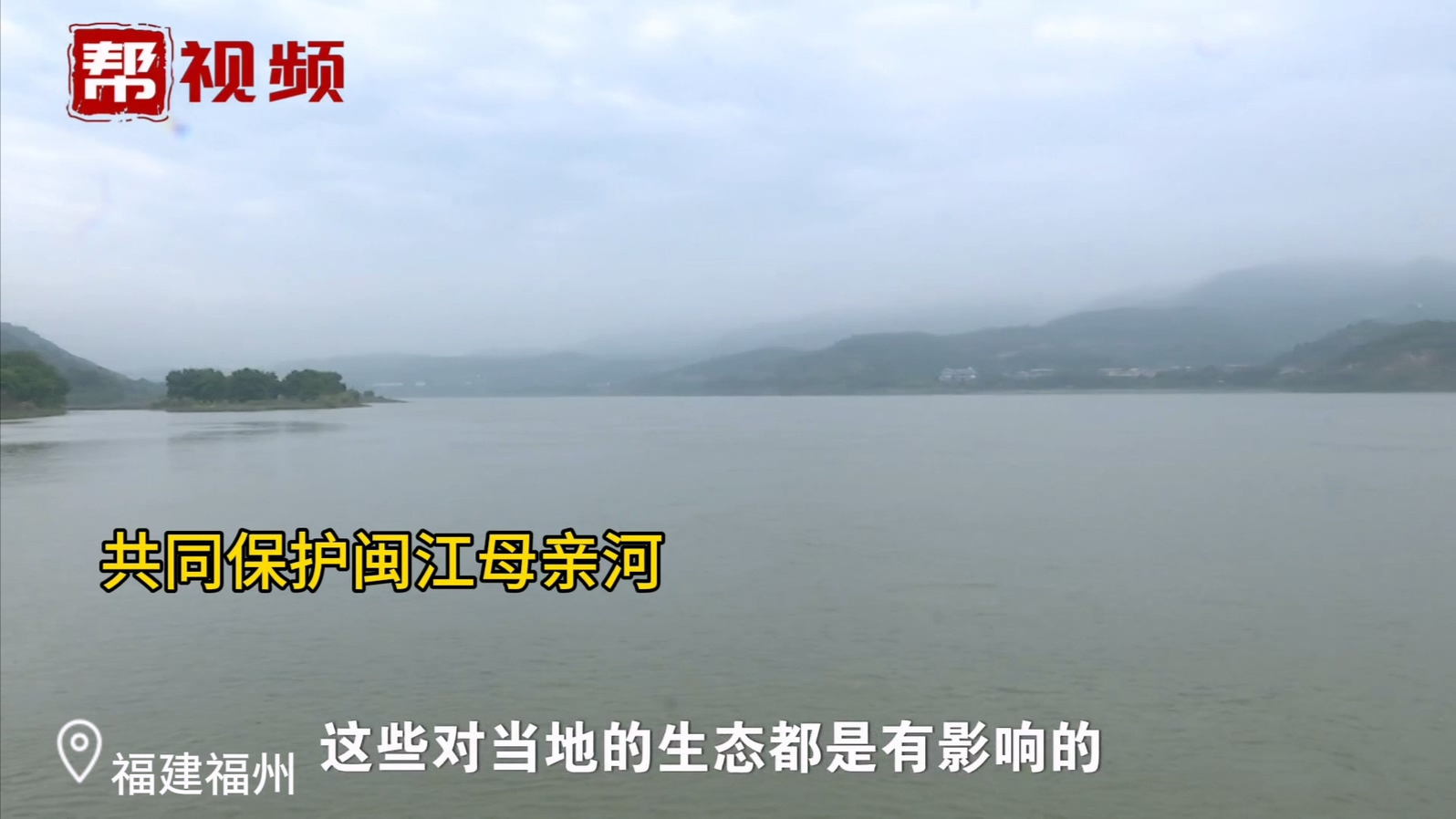 巴西龟、罗非鱼 这些外来、改良物种禁止放生!保护闽江生态系统哔哩哔哩bilibili