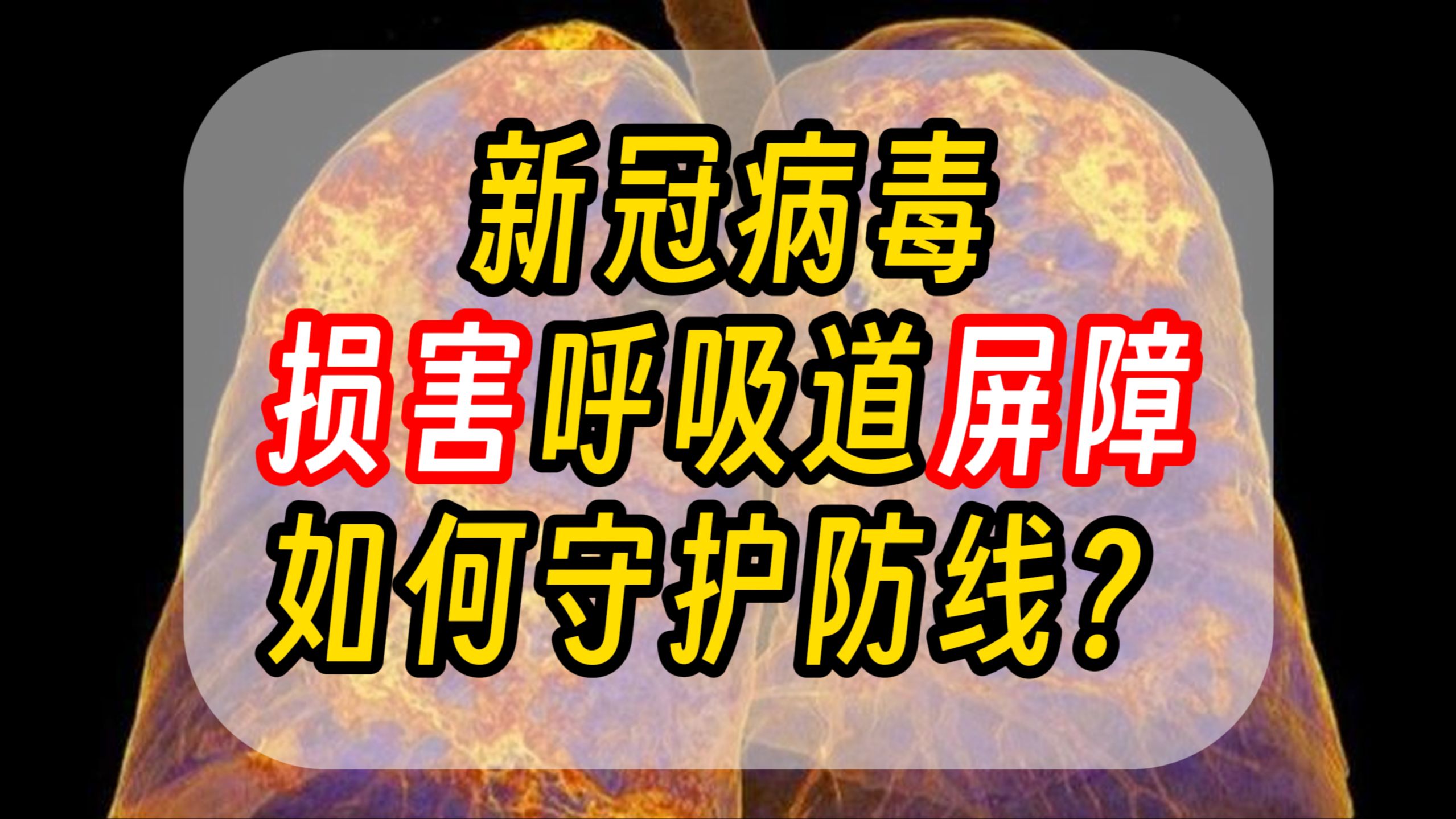 【呼吸道免疫】浙大教授:新冠影响呼吸道免疫?呼吸道屏障被损害了有何表现?哔哩哔哩bilibili