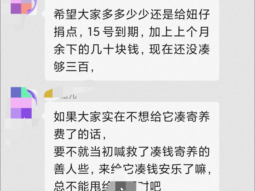 第一次看到众筹救助,每个月300块钱寄养费凑不齐就要把狗子安乐死的哔哩哔哩bilibili