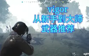 Descargar video: 【switch】vigor进阶教学第三期 从新手到大师的武器推荐