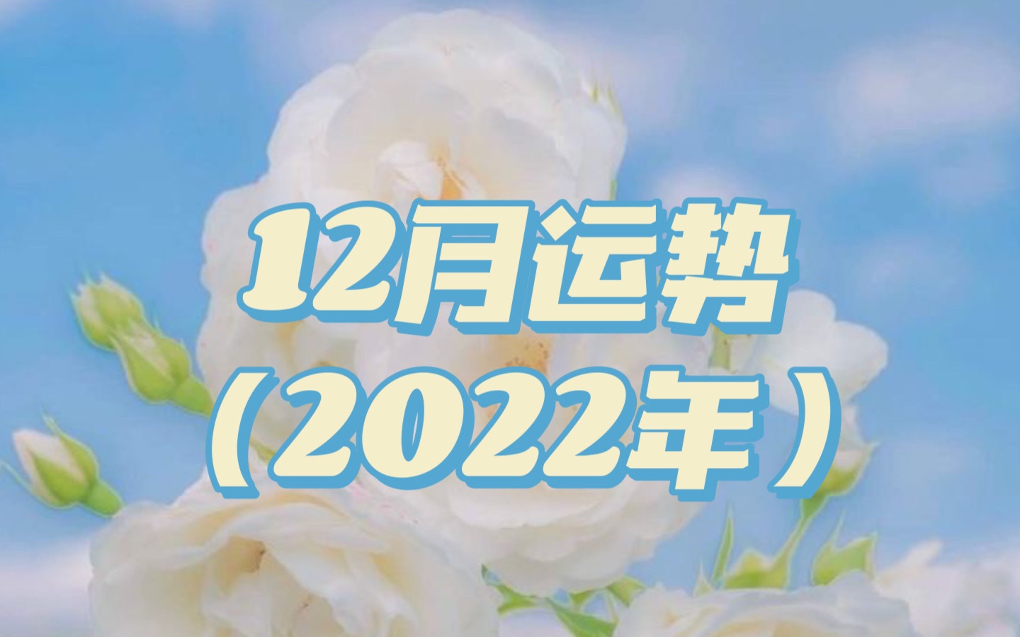 【秋鸣塔罗】12月运势(2022年)哔哩哔哩bilibili