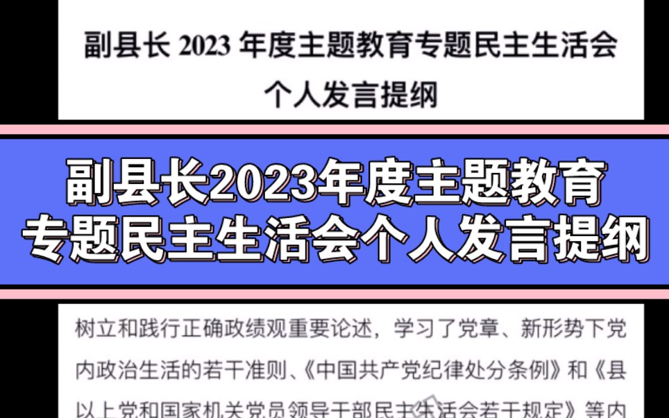 副县长2023年度主题教育专题民主生活会个人发言提纲哔哩哔哩bilibili