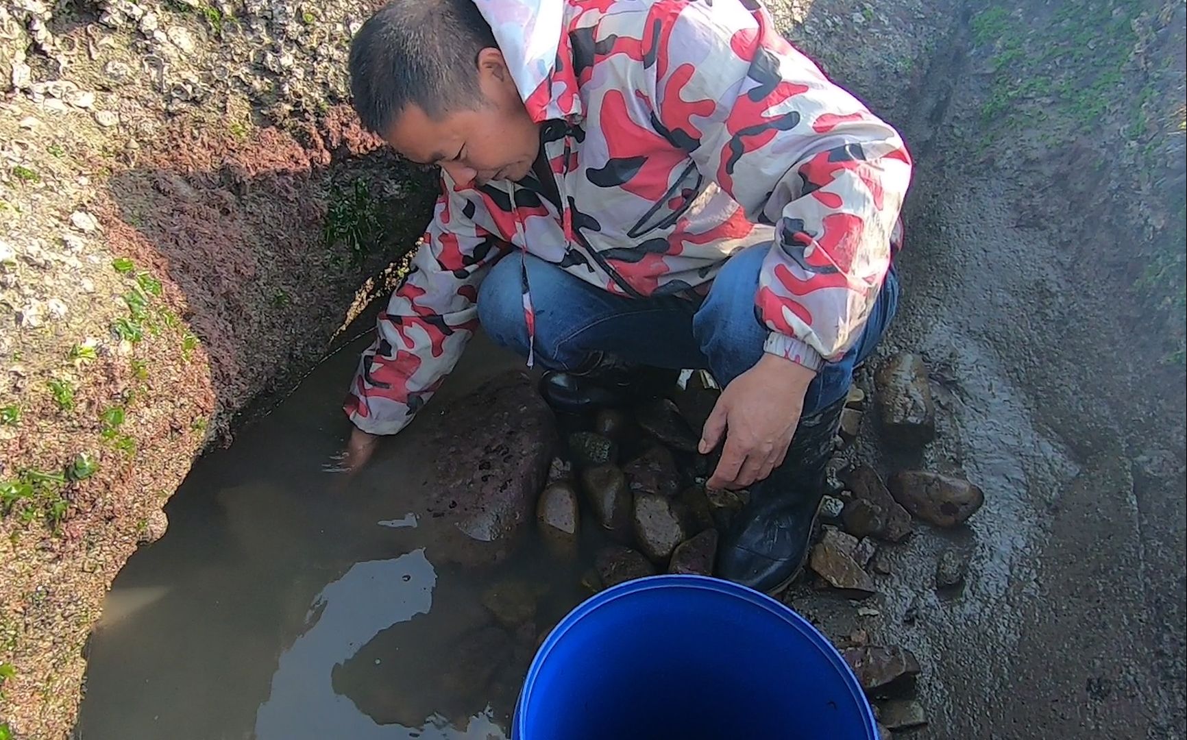 小囿和阿明合力舀干水坑,浑水摸鱼找一找海货,石九公藏的挺多呢哔哩哔哩bilibili