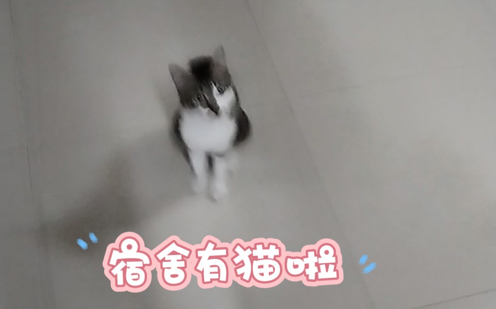 施主!请你自重!哔哩哔哩bilibili