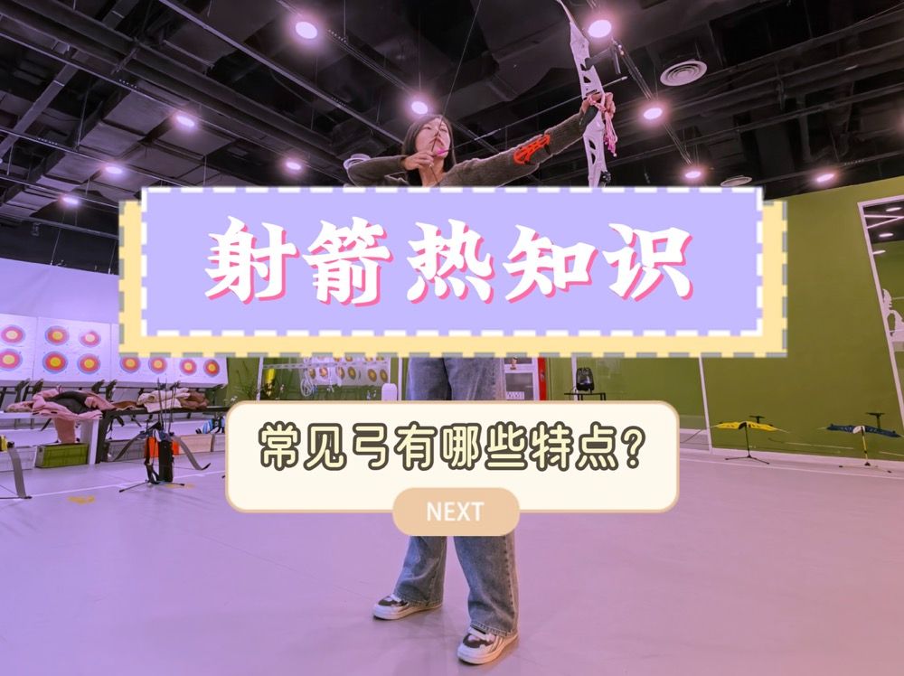 常见的弓分别有什么特点,一起来看看?哔哩哔哩bilibili