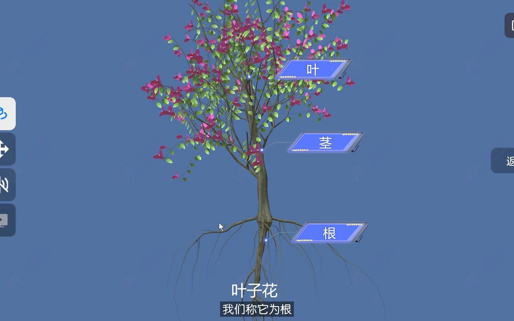 科学一上—观察一棵植物哔哩哔哩bilibili