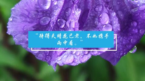 搜索 哔哩哔哩 つロ干杯 Bilibili