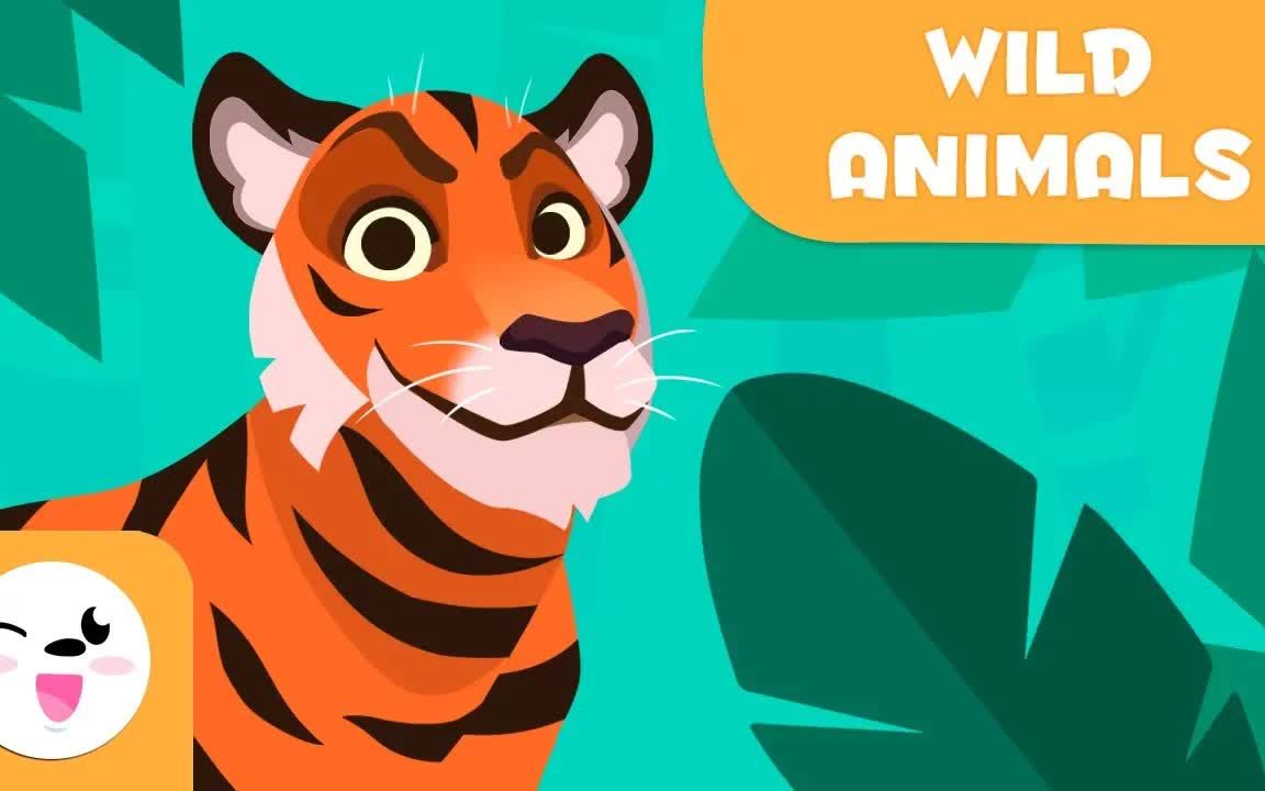 英语启蒙 野生动物名称学习 Wild animals for kids  Vocabulary for kids哔哩哔哩bilibili