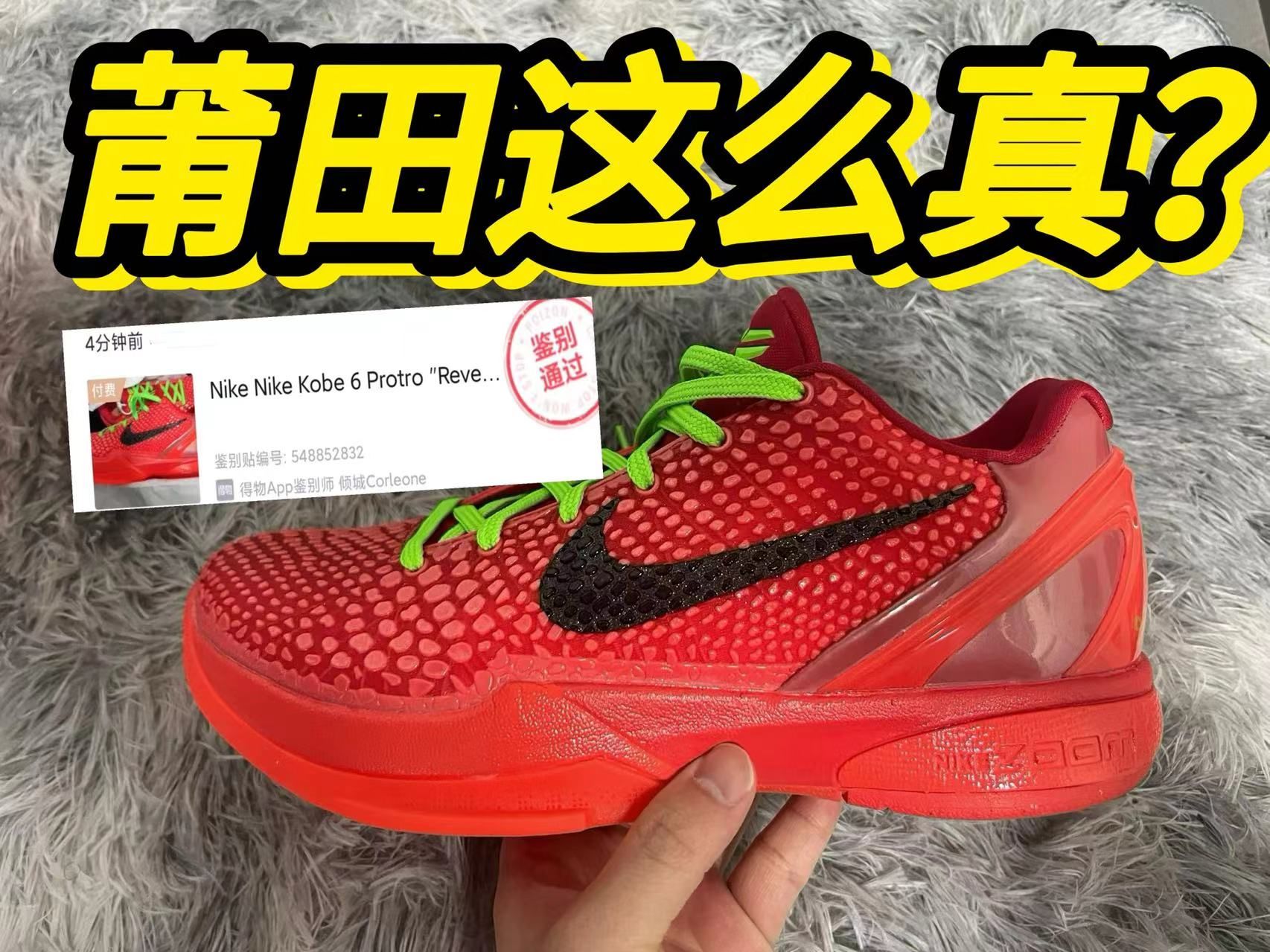莆田买的的科比6反转青蜂侠,没想到居然.过验了?