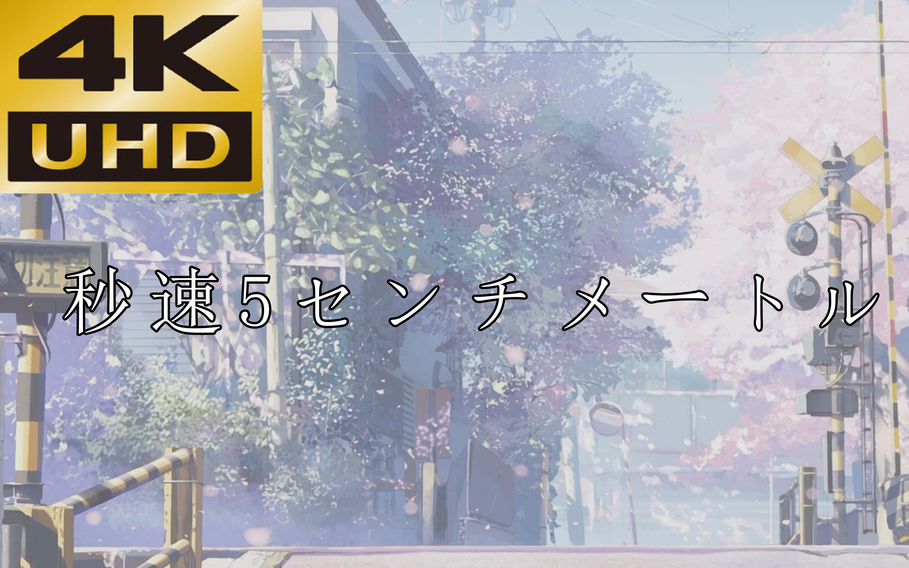 【4k 60fps】秒速五厘米x樱花树下