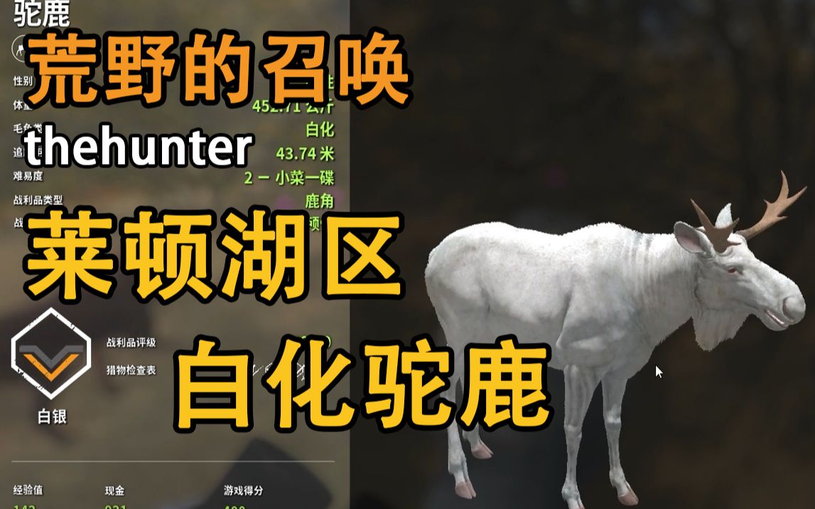 【荒野的召唤】稀有色/白化驼鹿存档分享!