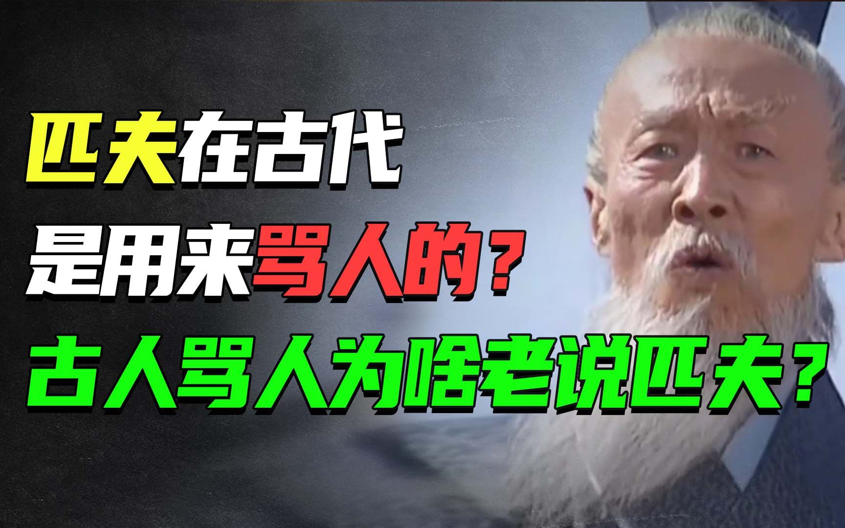 古人骂人为啥老说'匹夫'?匹夫真不是个好词吗?哔哩哔哩bilibili