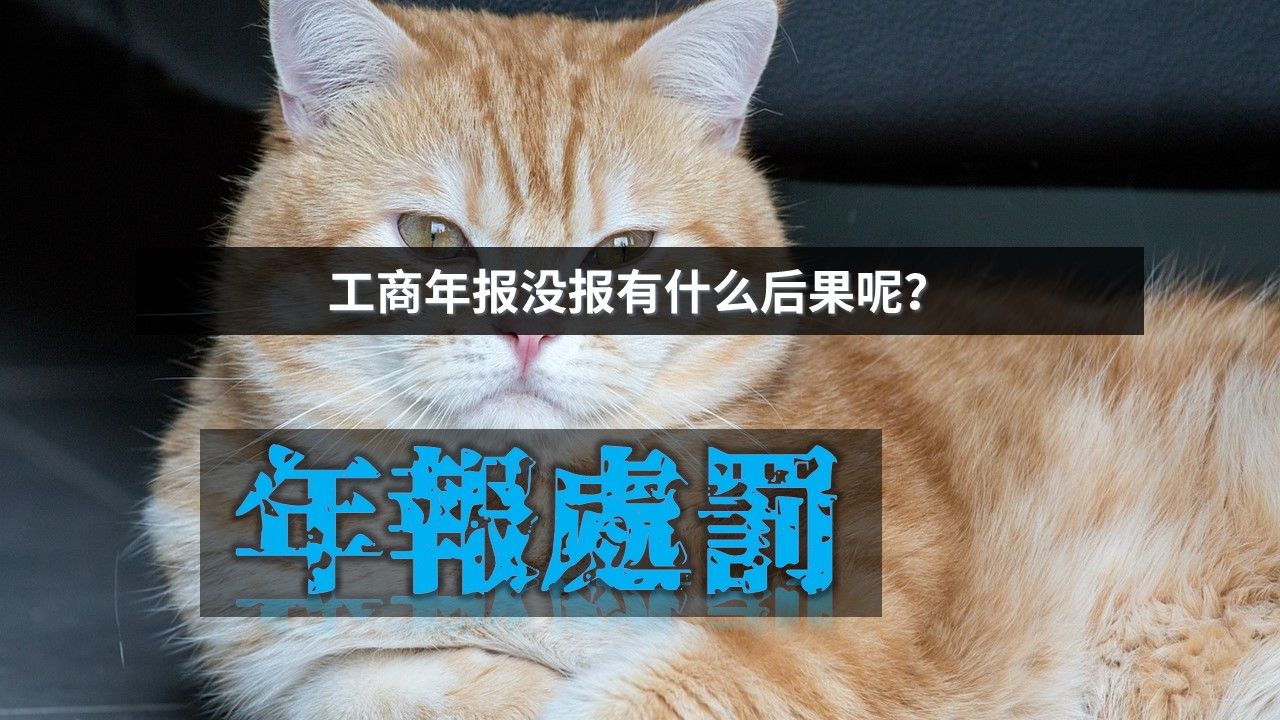 工商年报没报有什么后果呢?哔哩哔哩bilibili