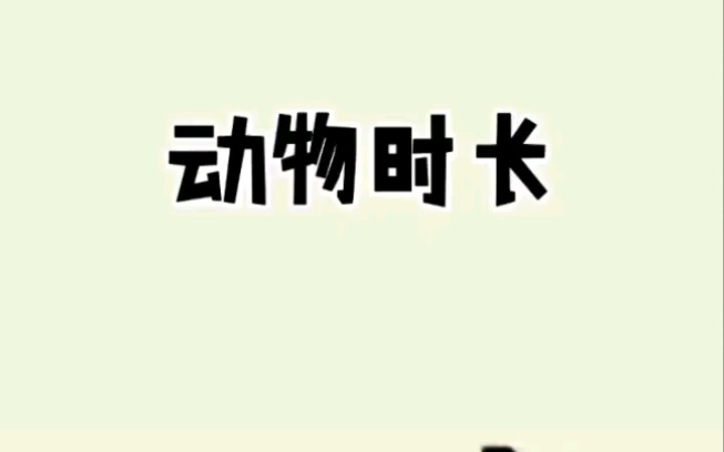 动物交配平均时长,哪里最长?哔哩哔哩bilibili