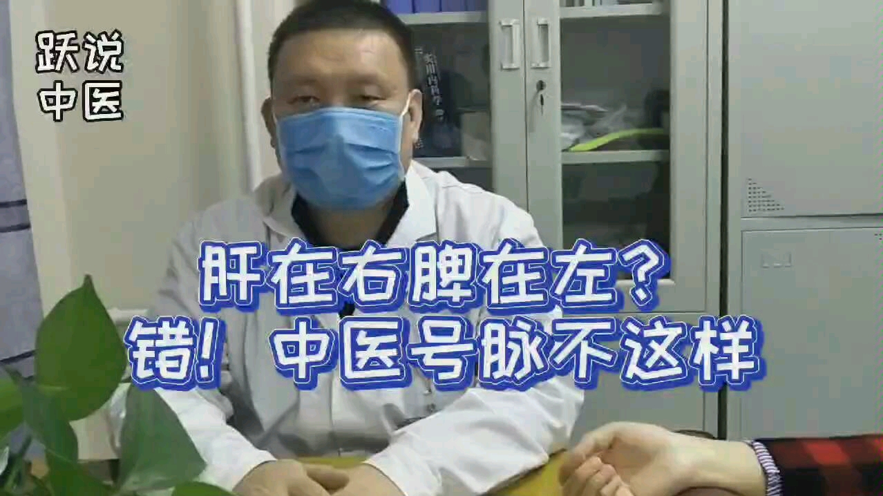 【科普】肝在右脾在左一定没错,中医号脉可不这样【字幕】哔哩哔哩bilibili