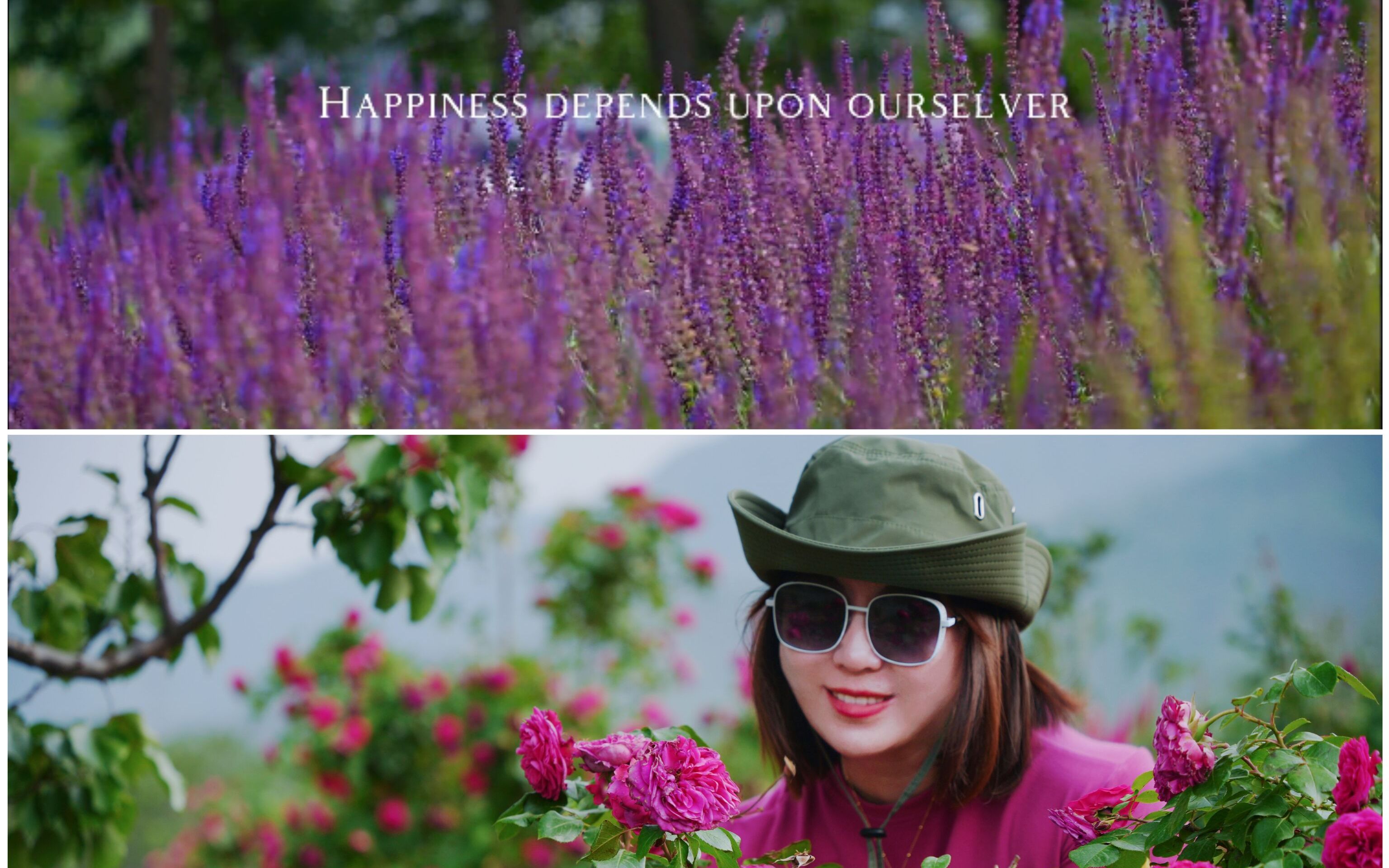 [图]一小时到达就在海淀，在开满鲜花的山间露营地过一个清凉的夏天