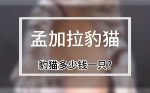 Tải video: 孟加拉豹猫的价格是多少？