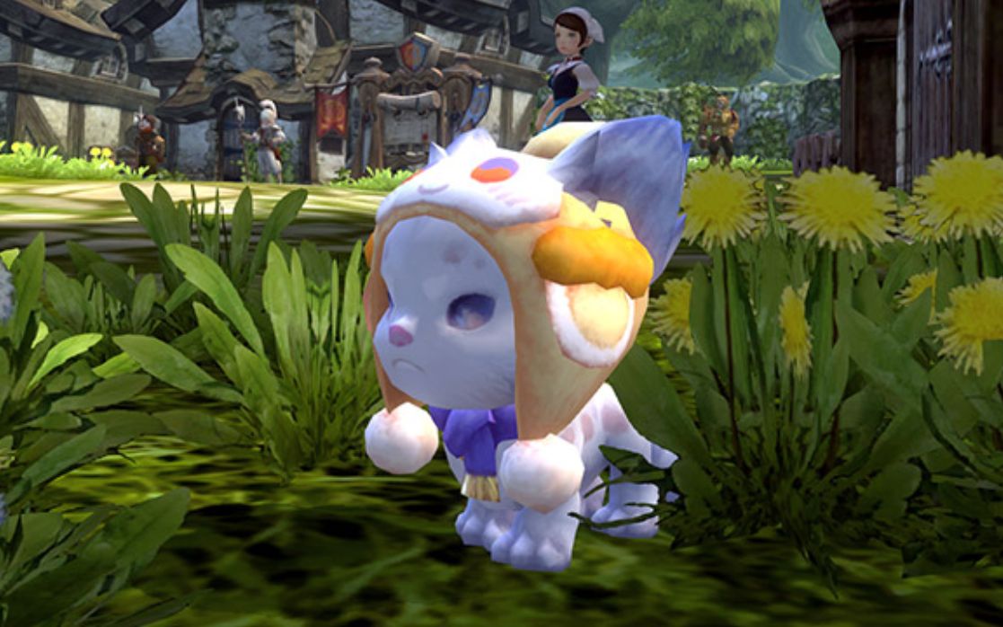 龙之谷养宠物送a宠分析如何最高性价比获取雪豹