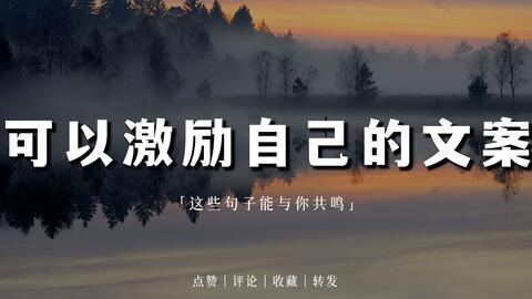 搜索 哔哩哔哩 つロ干杯 Bilibili