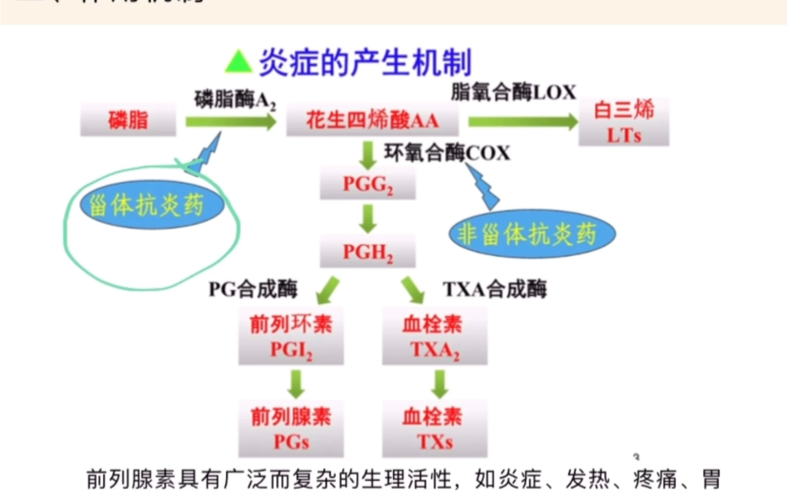 非甾体抗炎药 你真的了解吗哔哩哔哩bilibili