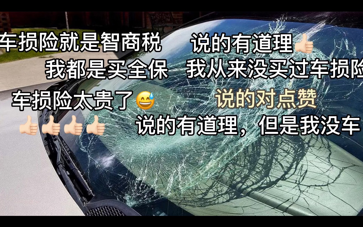 车损险有必要买吗?为什么有人说是智商税?看完你就明白了!哔哩哔哩bilibili