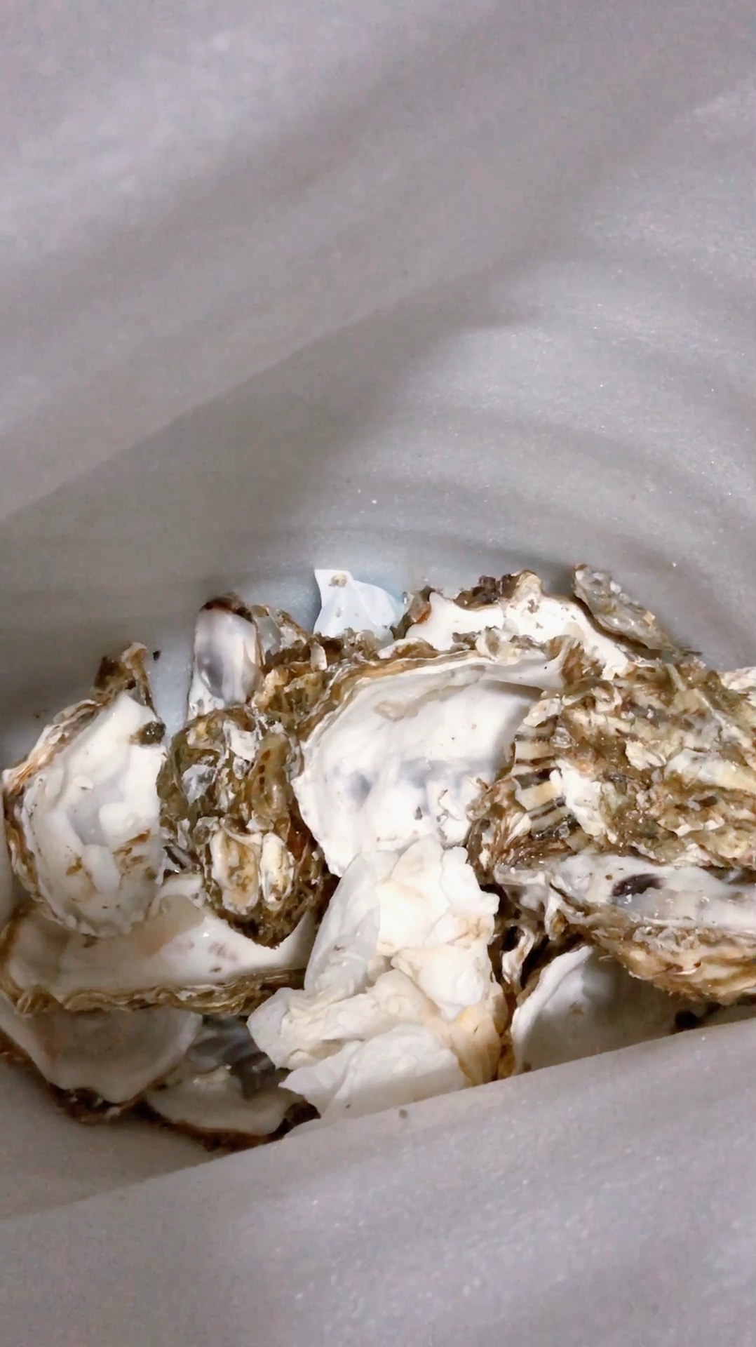 开生蚝壳的代价相当惨痛……那块皮直接就不